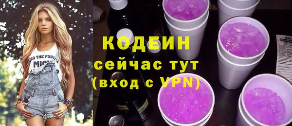 крисы Чердынь