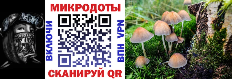 где можно купить   Евпатория  Галлюциногенные грибы ЛСД 