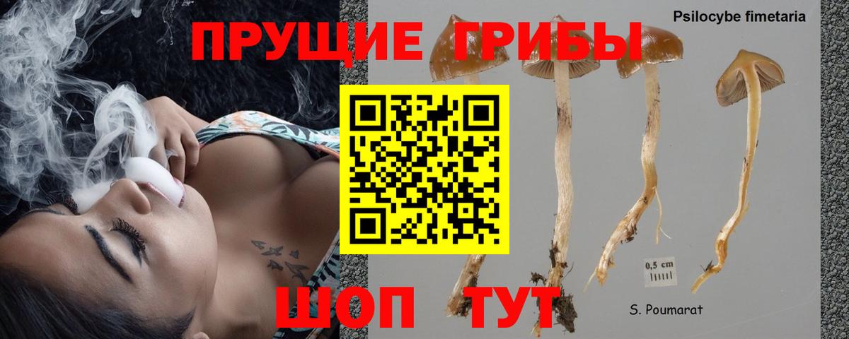 Евпатория  Псилоцибиновые грибы ЛСД  Вход с VPN 